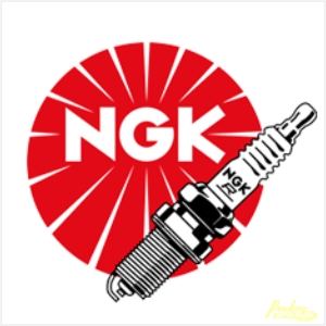 Peekay NGK